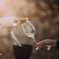 Is Muscat Wine Sweet or Dry? Unraveling the Tastes, Varieties, and Pairing Secrets of This Popular Fruity Wine