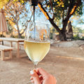 The Best White Wine for Beginners: A Wine Expert's Perspective