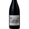 The Best Wines in the World: An Expert's Guide